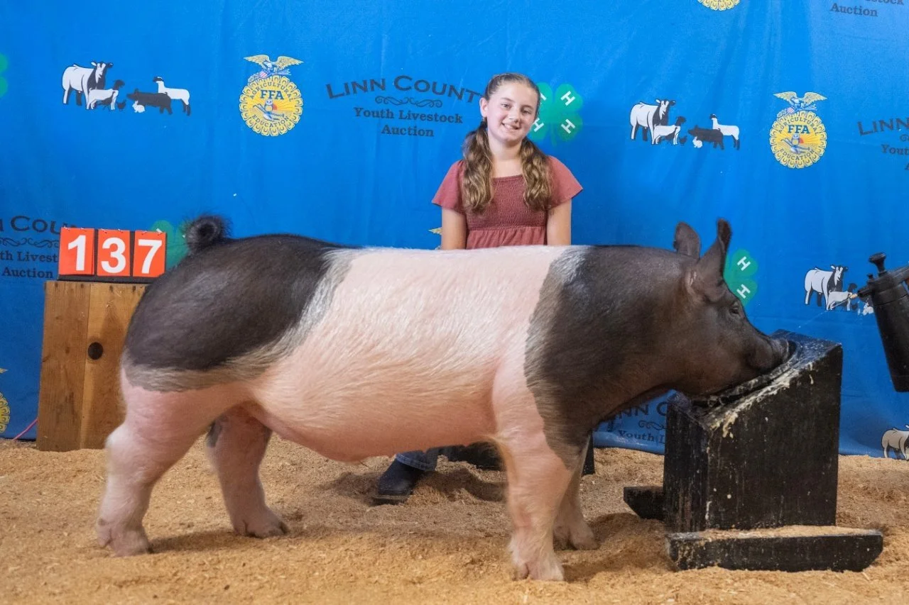 Swine 137 (1 of 1).jpg