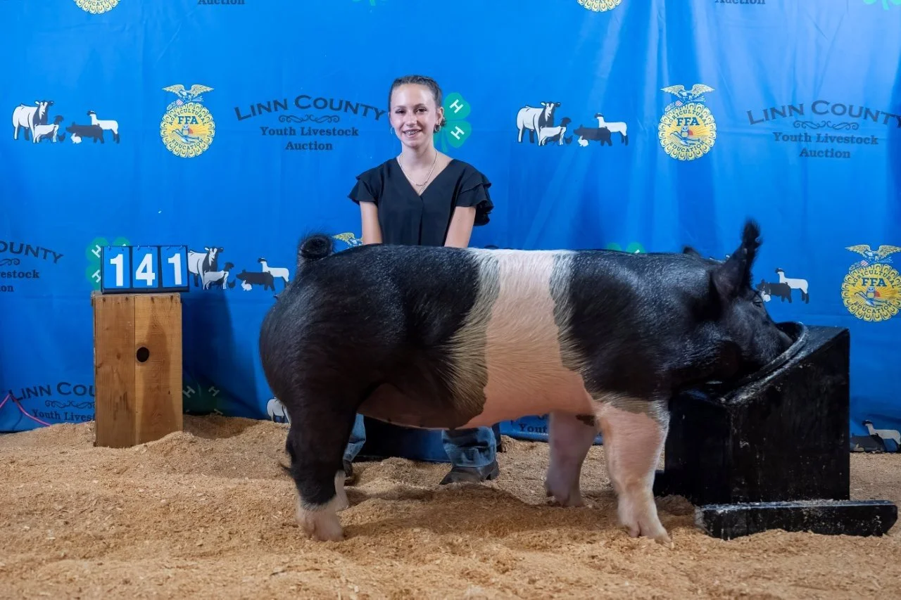 Swine 141 (1 of 1).jpg