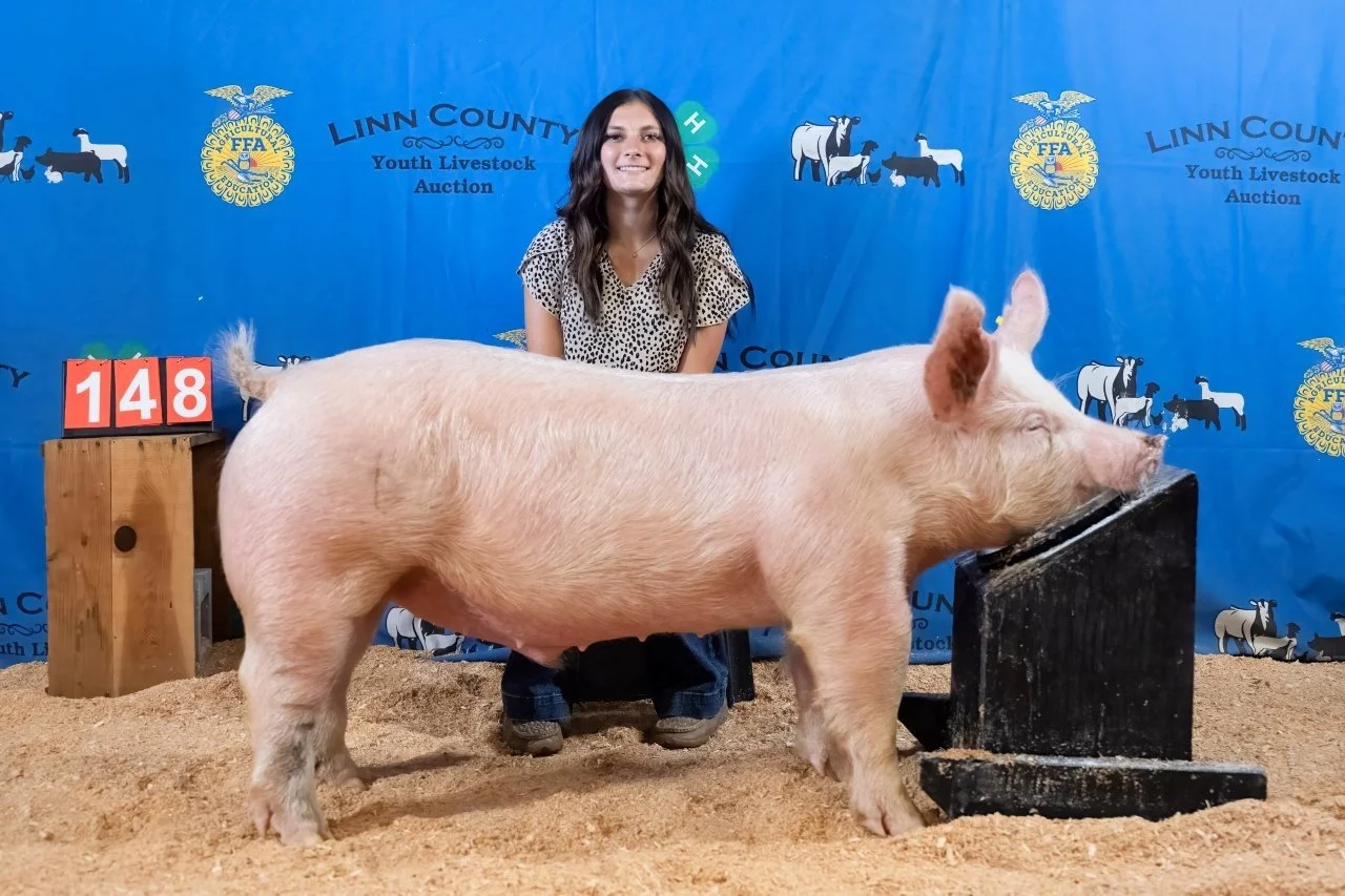 Swine 148 (1 of 1).jpg