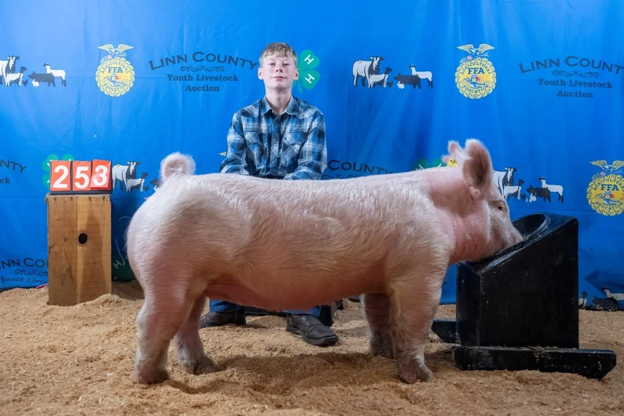 Swine 253 (1 of 1).jpg