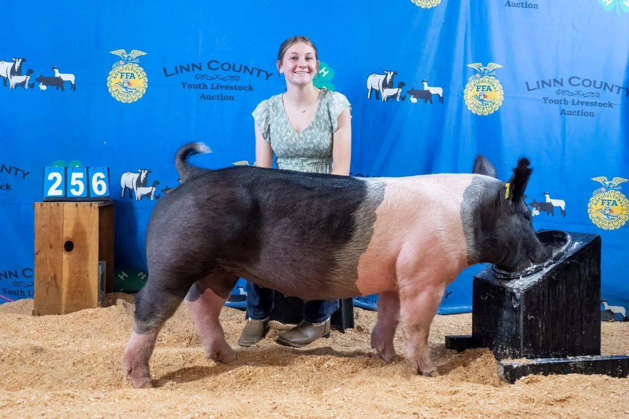 Swine 256 (1 of 1).jpg