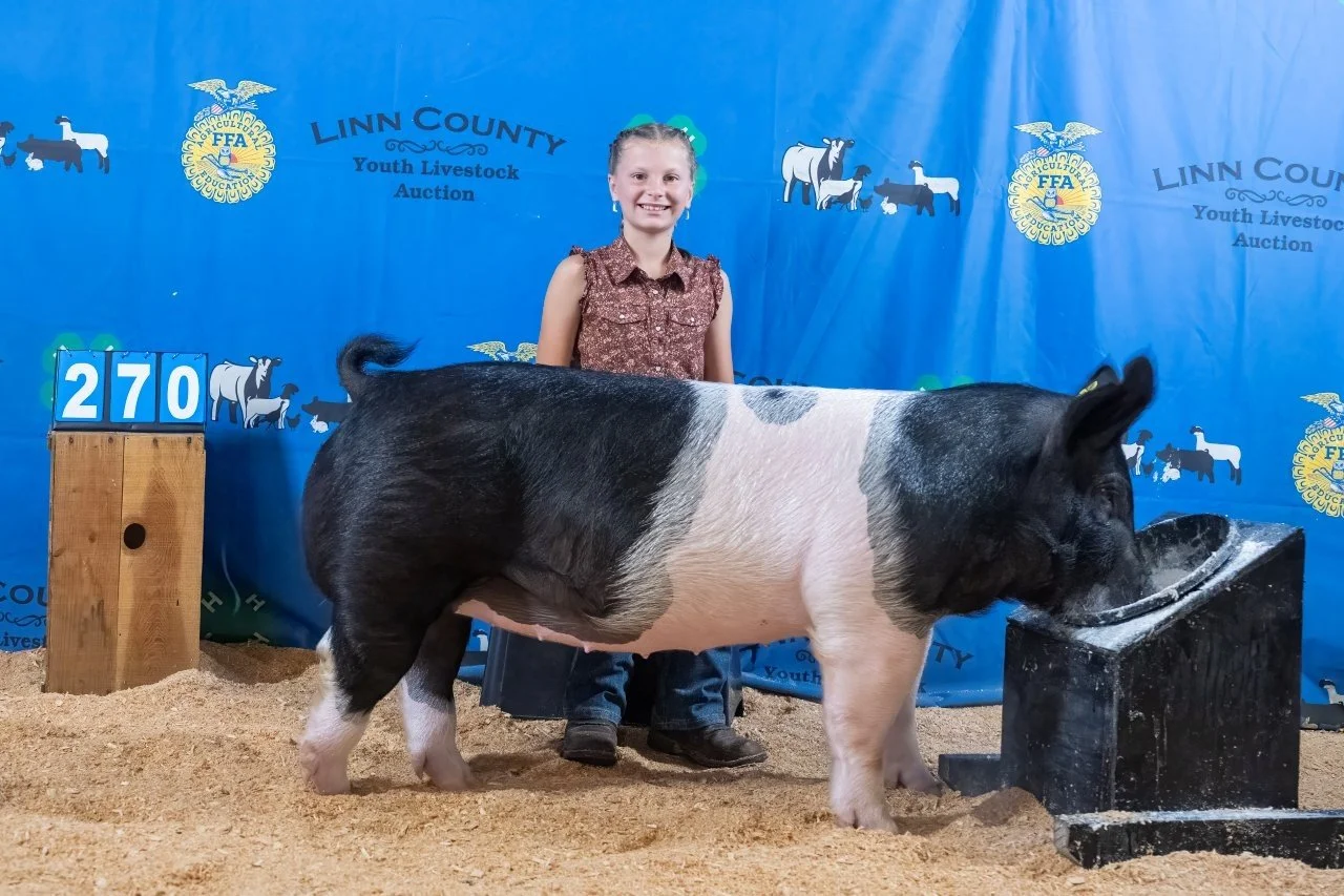 Swine 270 (1 of 1).jpg