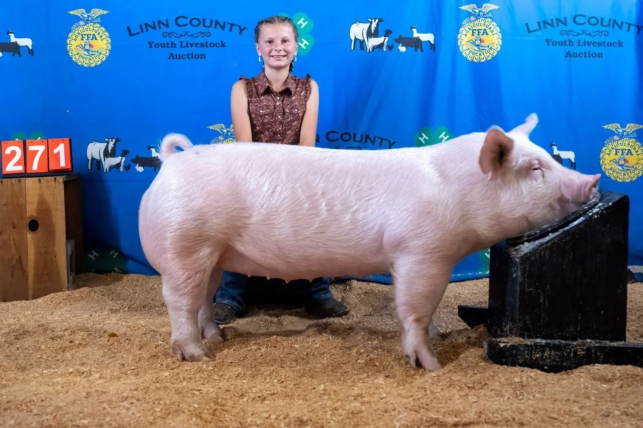 Swine 271 (1 of 1).jpg