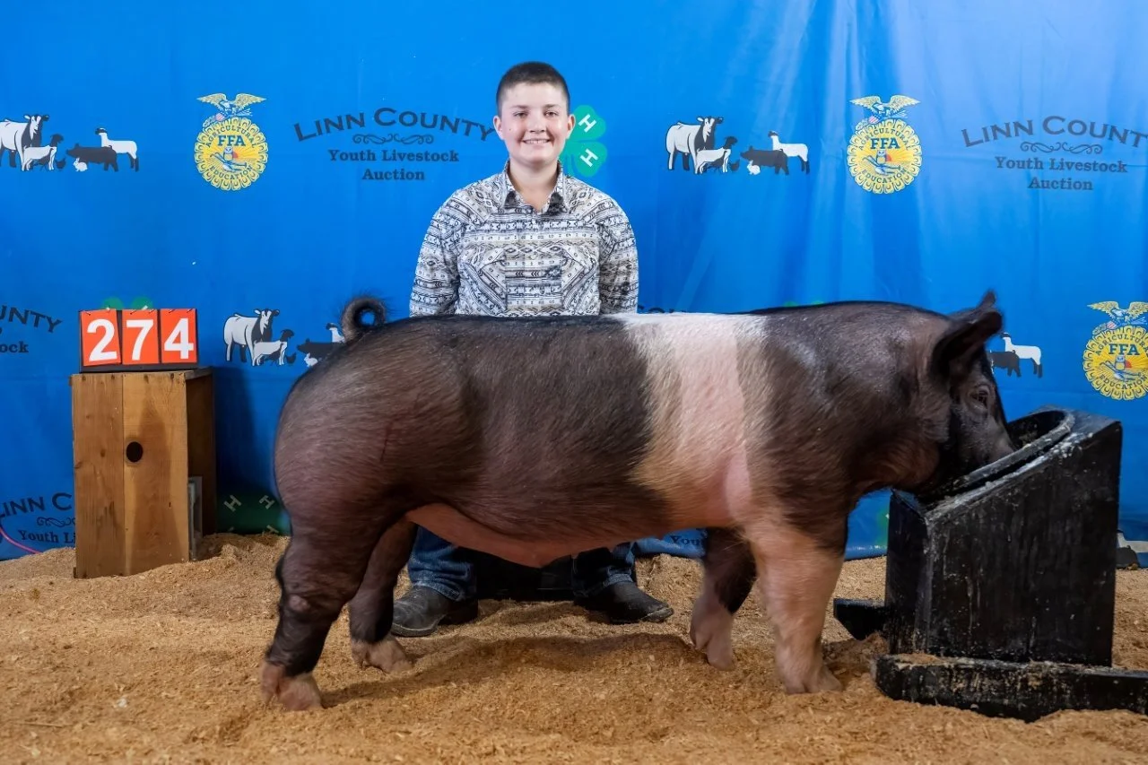 Swine 274 (1 of 1).jpg