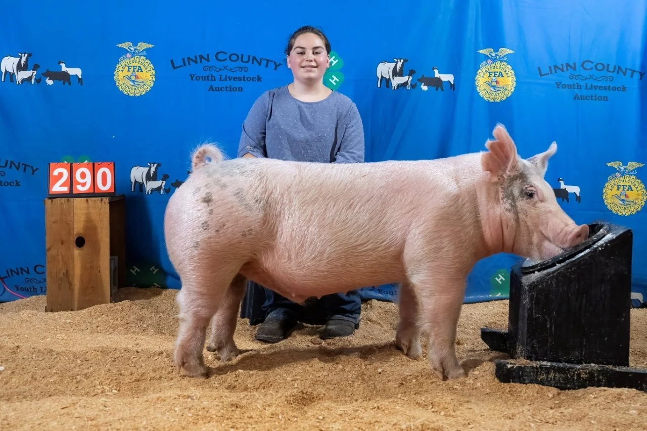 Swine 290 (1 of 1).jpg