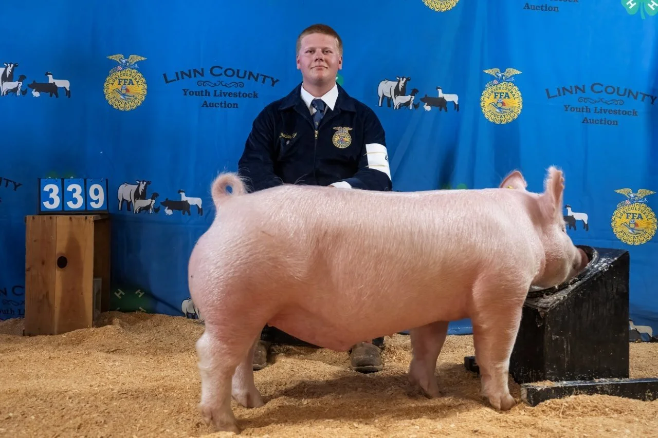 Swine 339 (1 of 1).jpg