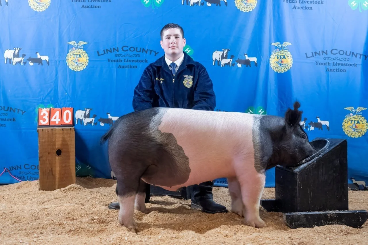 Swine 340 (1 of 1).jpg