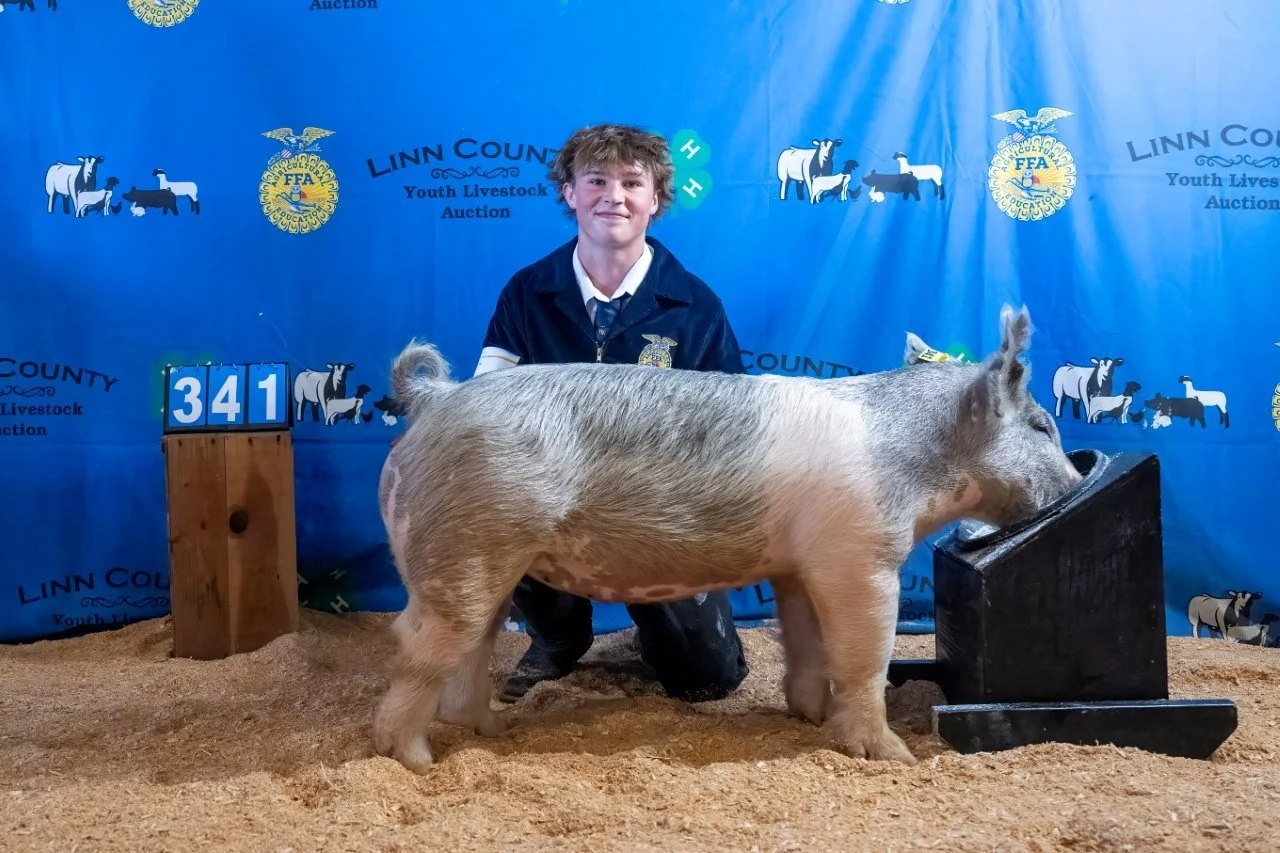 Swine 341 (1 of 1).jpg