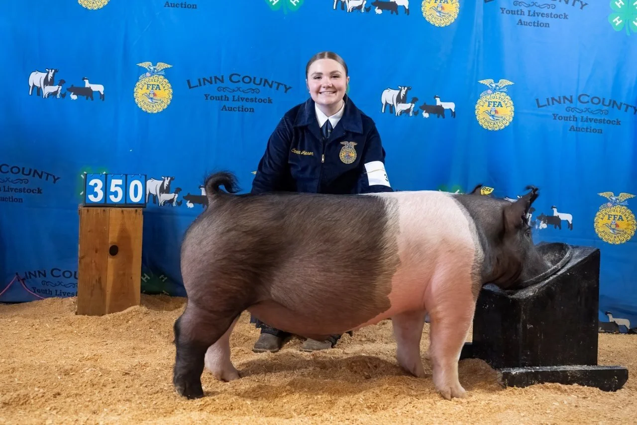 Swine 350 (1 of 1).jpg