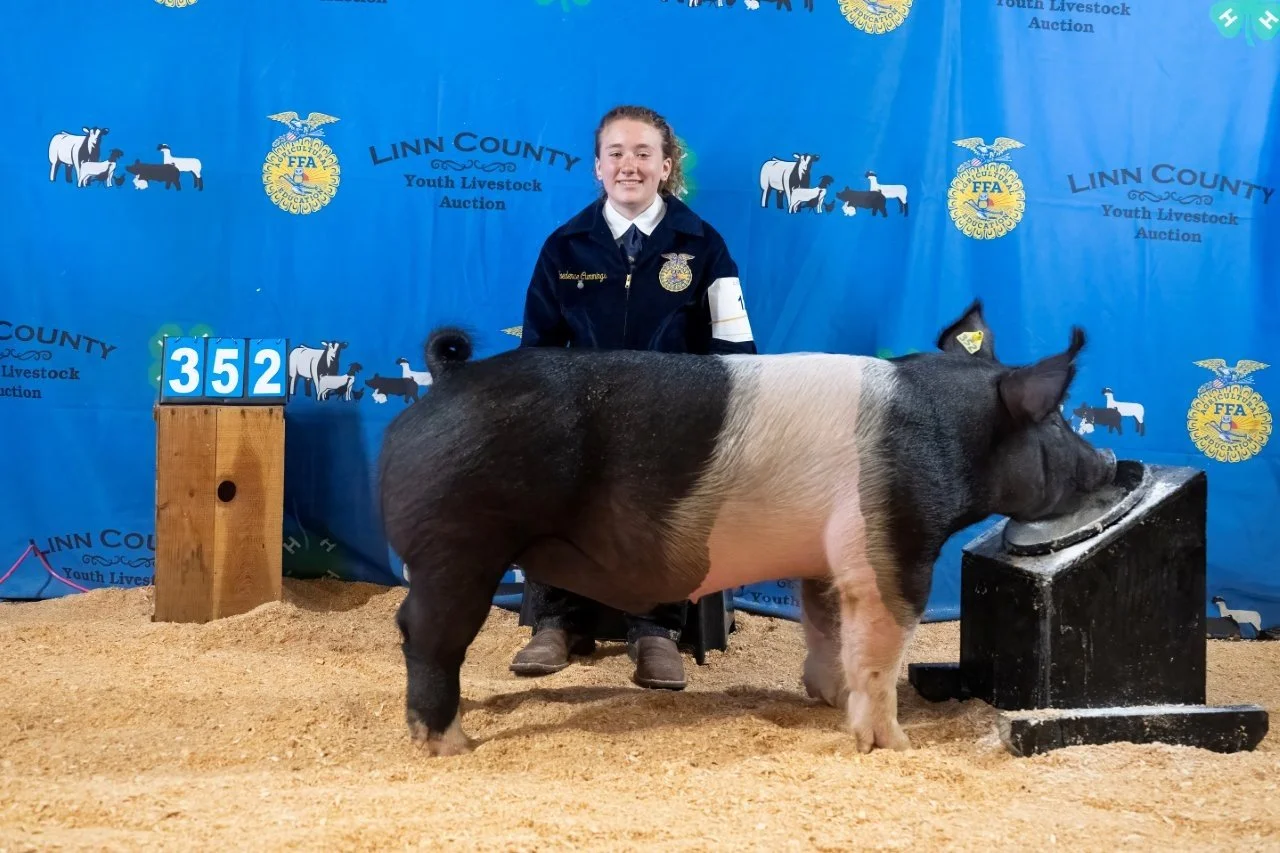 Swine 352 (1 of 1).jpg