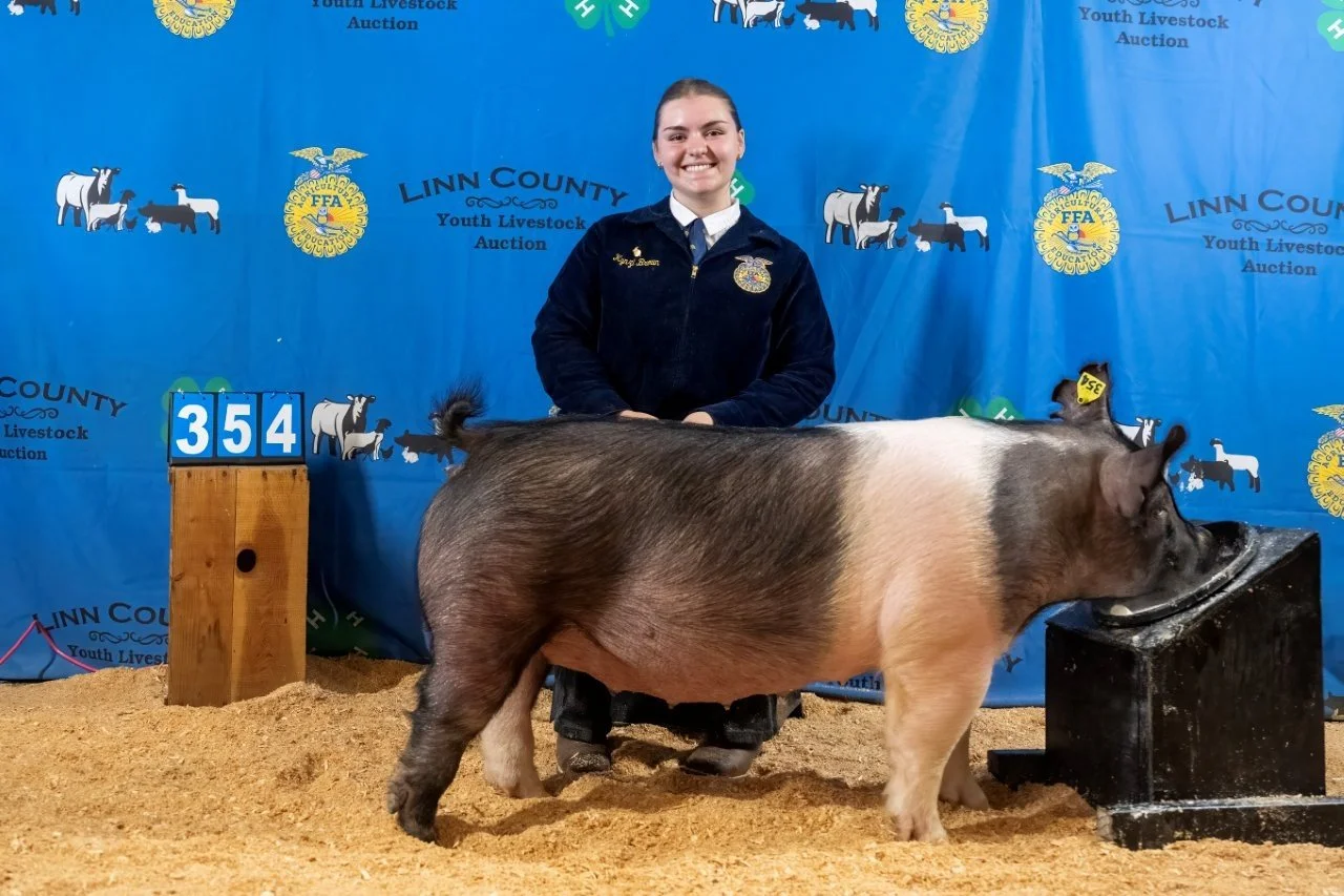 Swine 354 (1 of 1).jpg