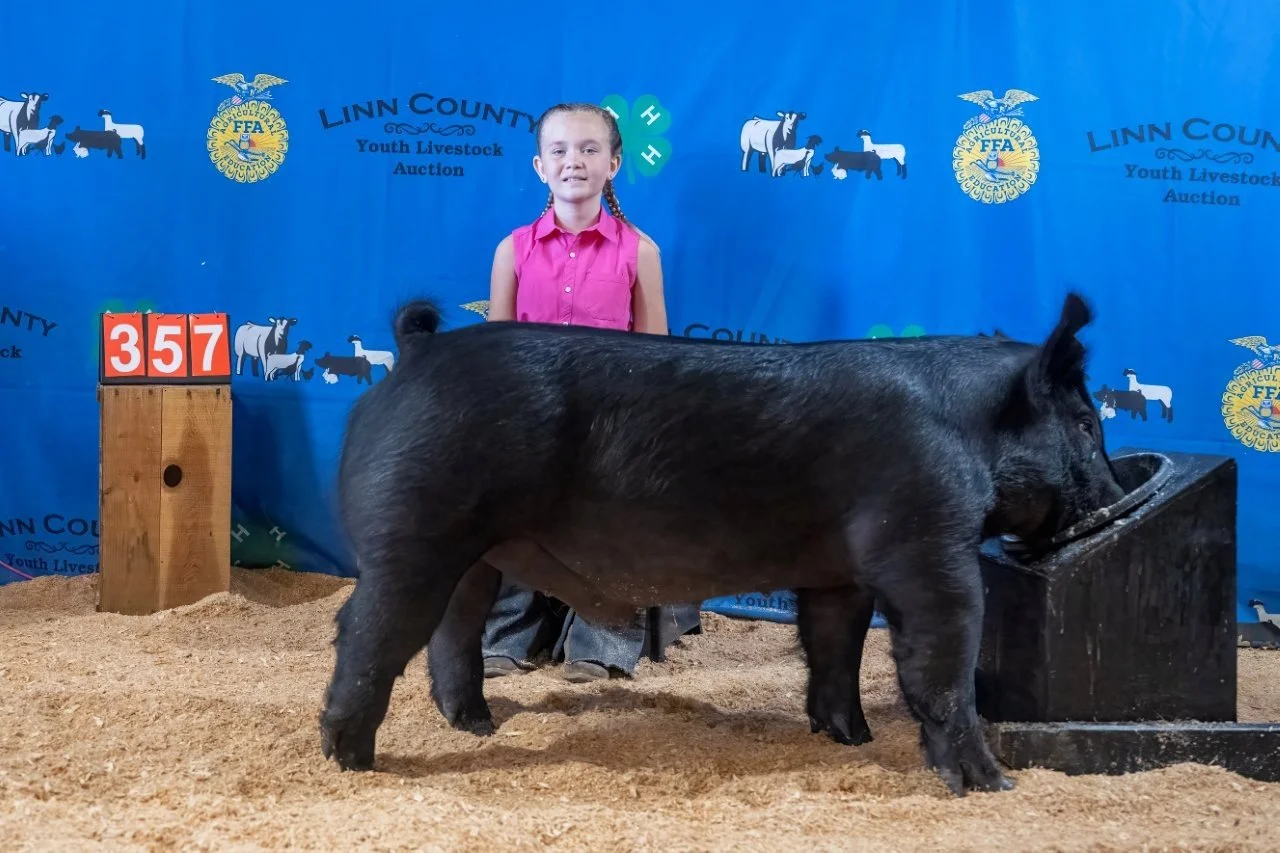 Swine 357 (1 of 1).jpg