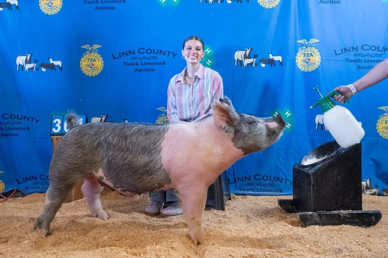 Swine 361 (1 of 1).jpg