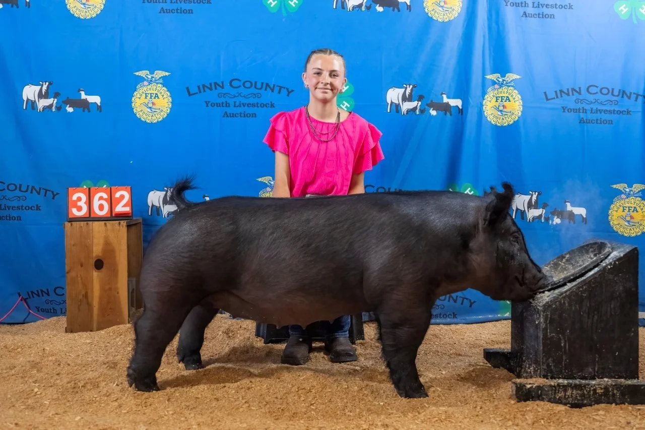 Swine 362 (1 of 1).jpg