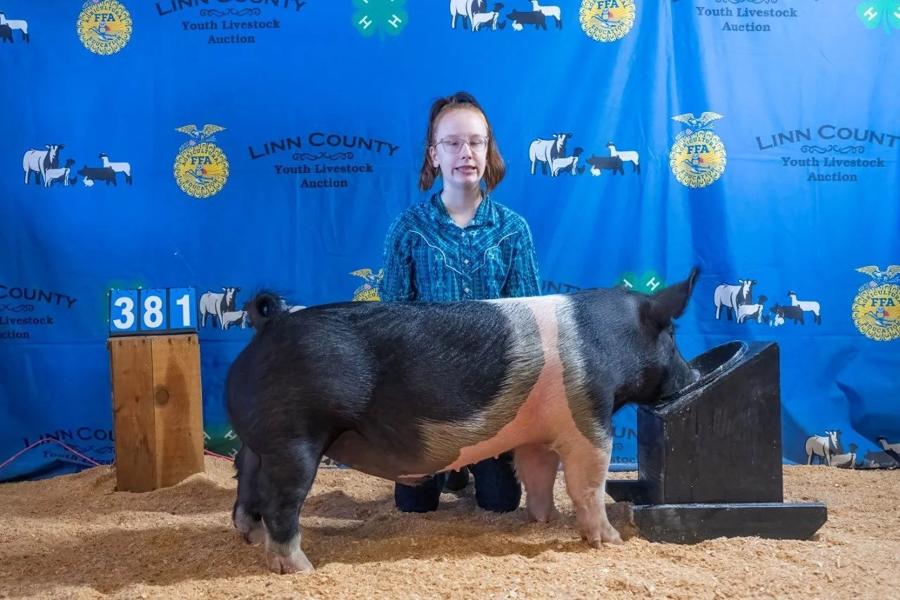 Swine 381 (1 of 1).jpg