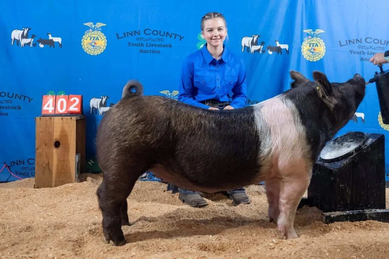 Swine 402 (1 of 1).jpg