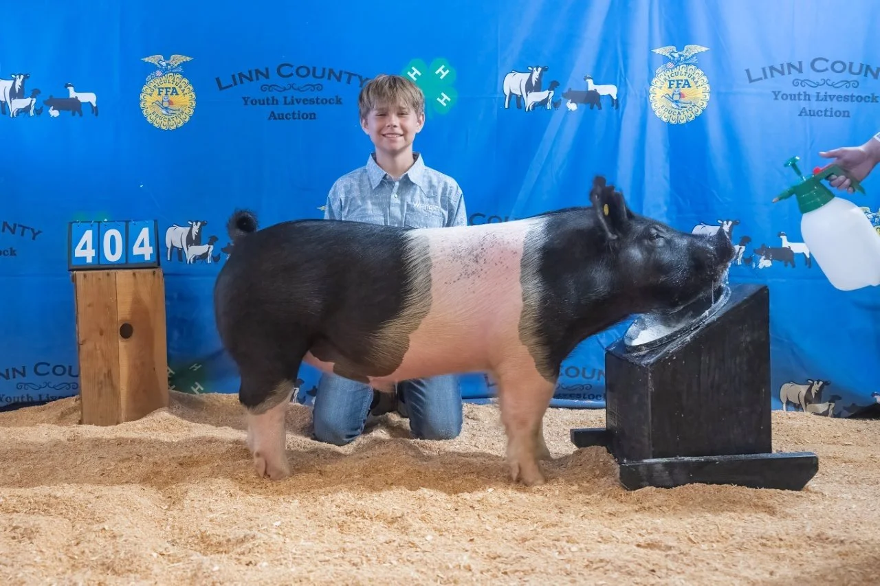 Swine 404 (1 of 1).jpg