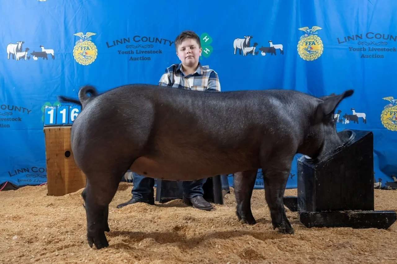Swine Feever 116 (1 of 1).jpg