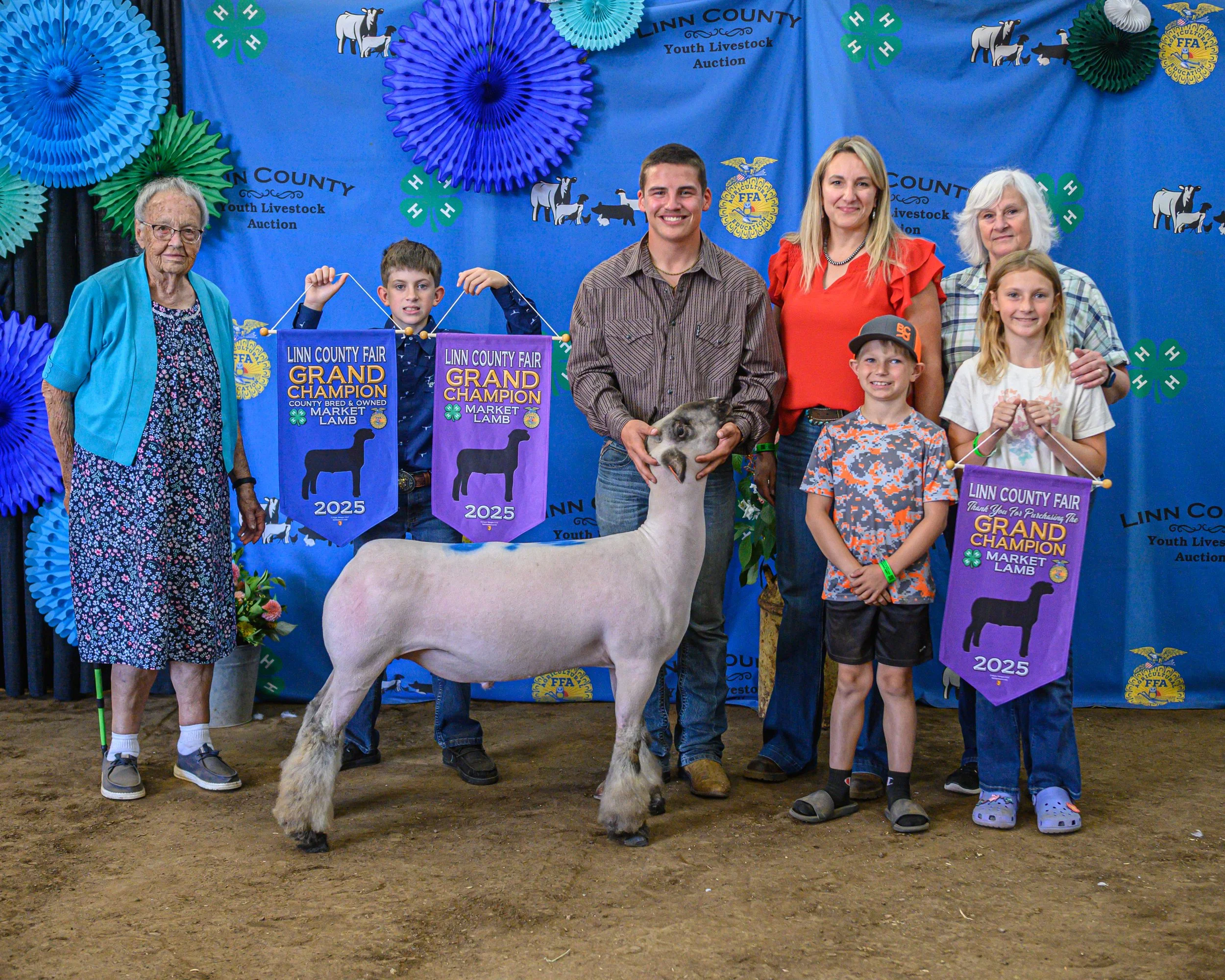 Champion Lamb - Kane Damon - Purchased by Riverland Rentals and Randy and Carolyn Raschein