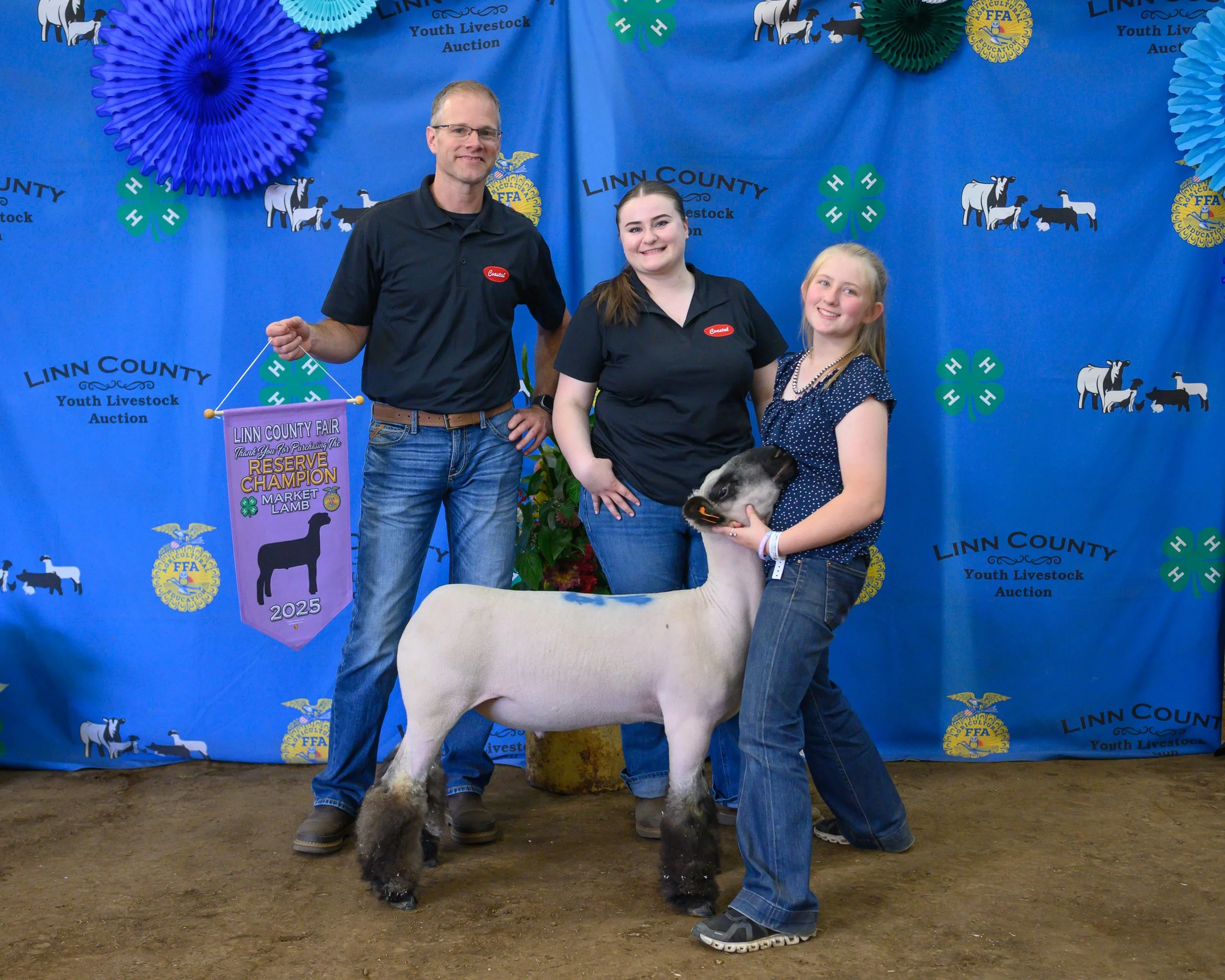 Reserve Champion Lamb - Ann Marie Kizer, Purchased by Coastal Farm
