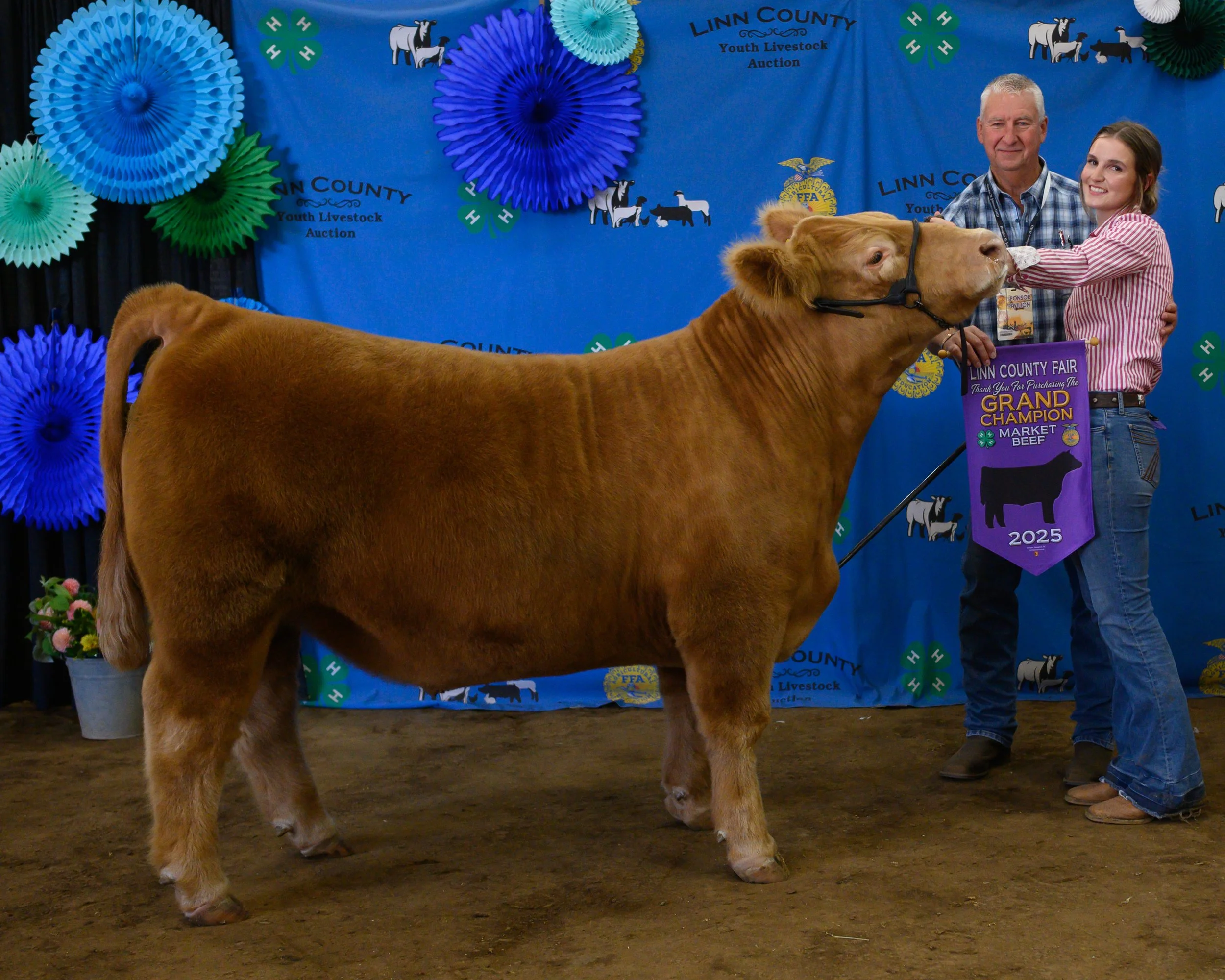Champion Beef - Katelyn Cox, Purchased by Cascade Timber Consulting