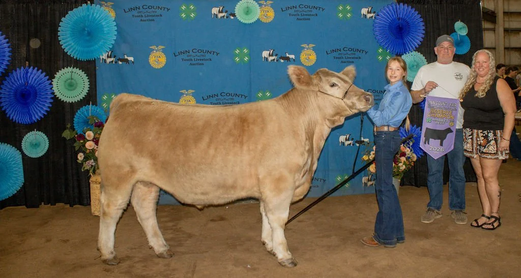 Reserve Champion Beef - Addison Fleckenstein - purchased by SRI Inc