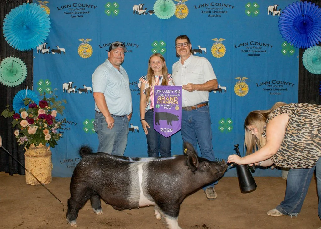 Champion Market Hog - Bailey Lester - purchased by Davis Glass and Rob &amp; Sarah Damon