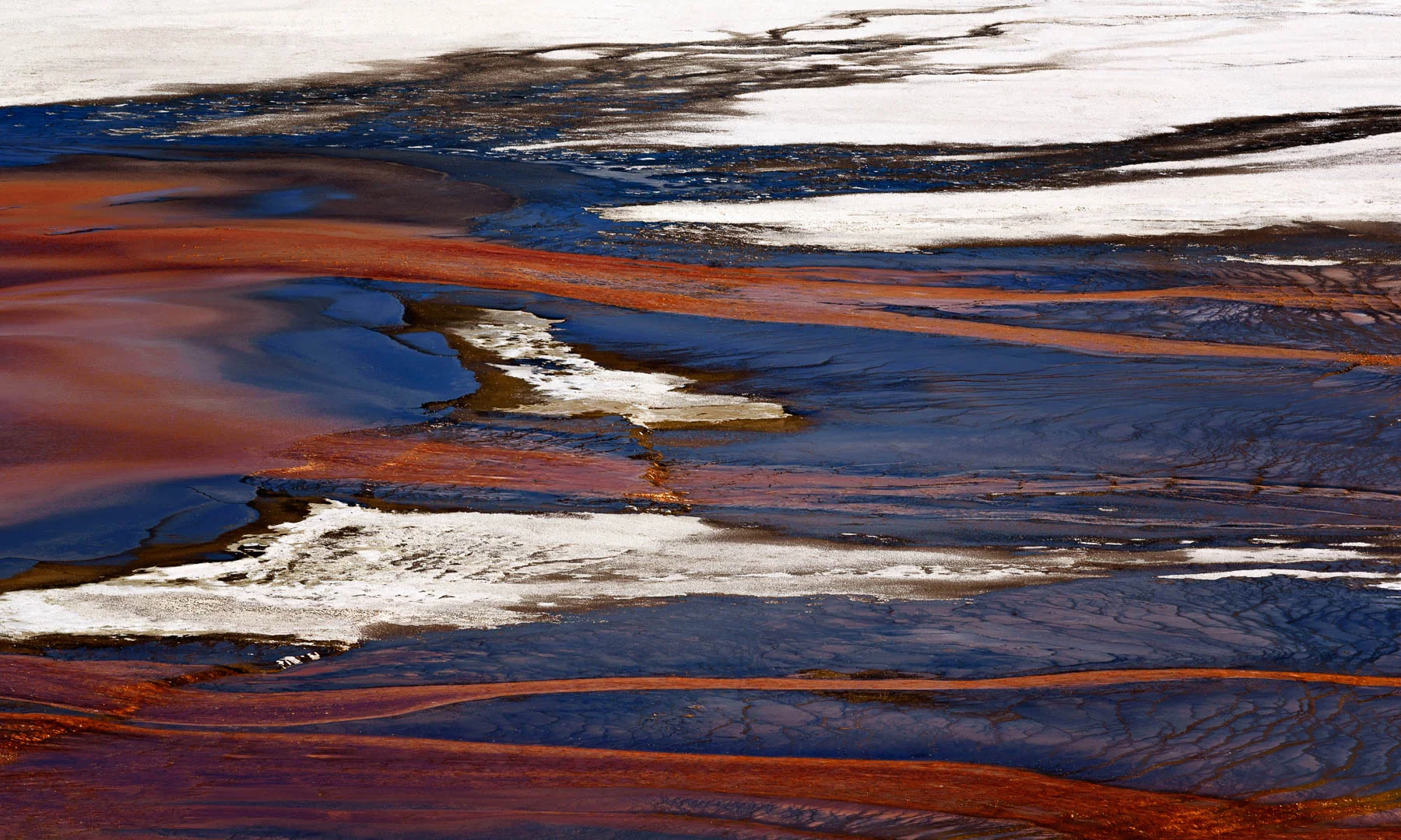 "Nature's Canvas" Nomeniee