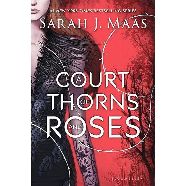 A Court of Thorns and Roses by Sarah J. Maas (fiction, YA fantasy)
***
So many people absolutely love this book. It was a solid &ldquo;good&rdquo; read for me. I do think it was pretty slow-paced, especially the first half. The main character got on 