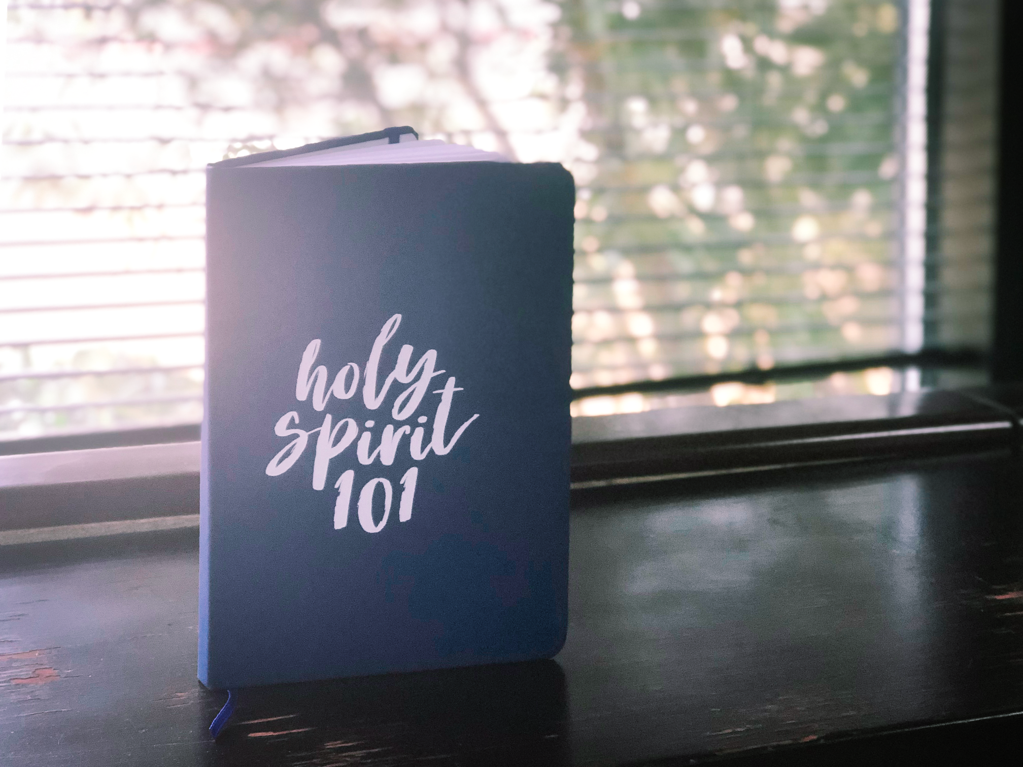 Holy Spirit 101 Notebook.PNG