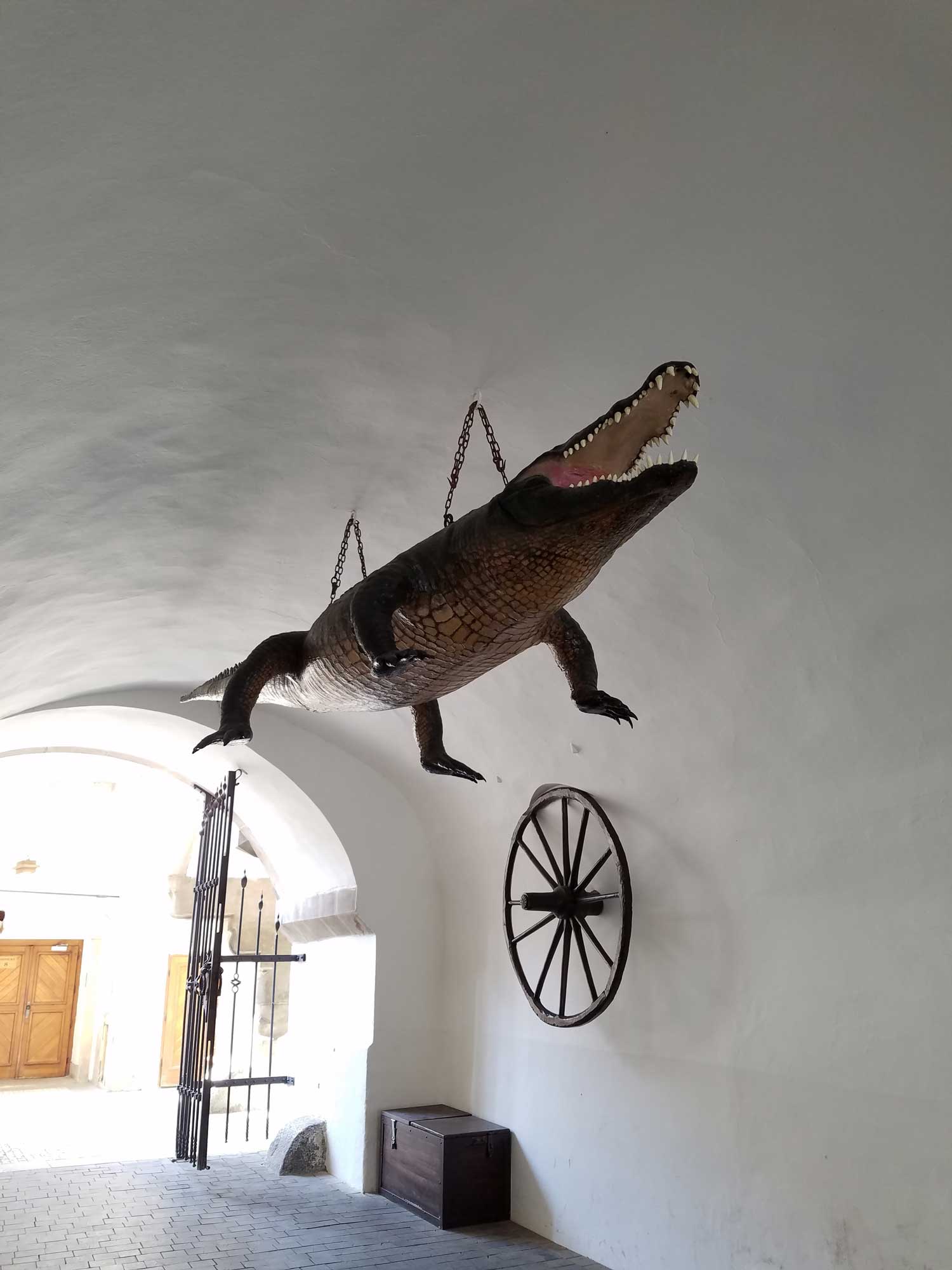 For some reason there is a 400-year old replica of a crocodile (using real crocodile skin brought by the Turks during negotiations with the Hapsburgs in the 1600s) hanging from the ceiling underneath Brno's city hall.