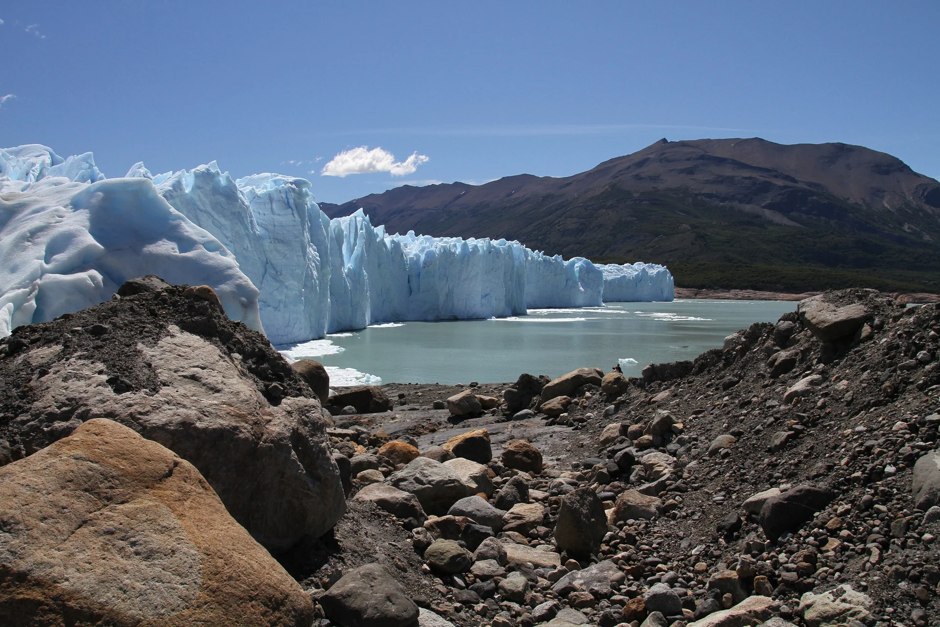 calafate- perito moreno.jpg