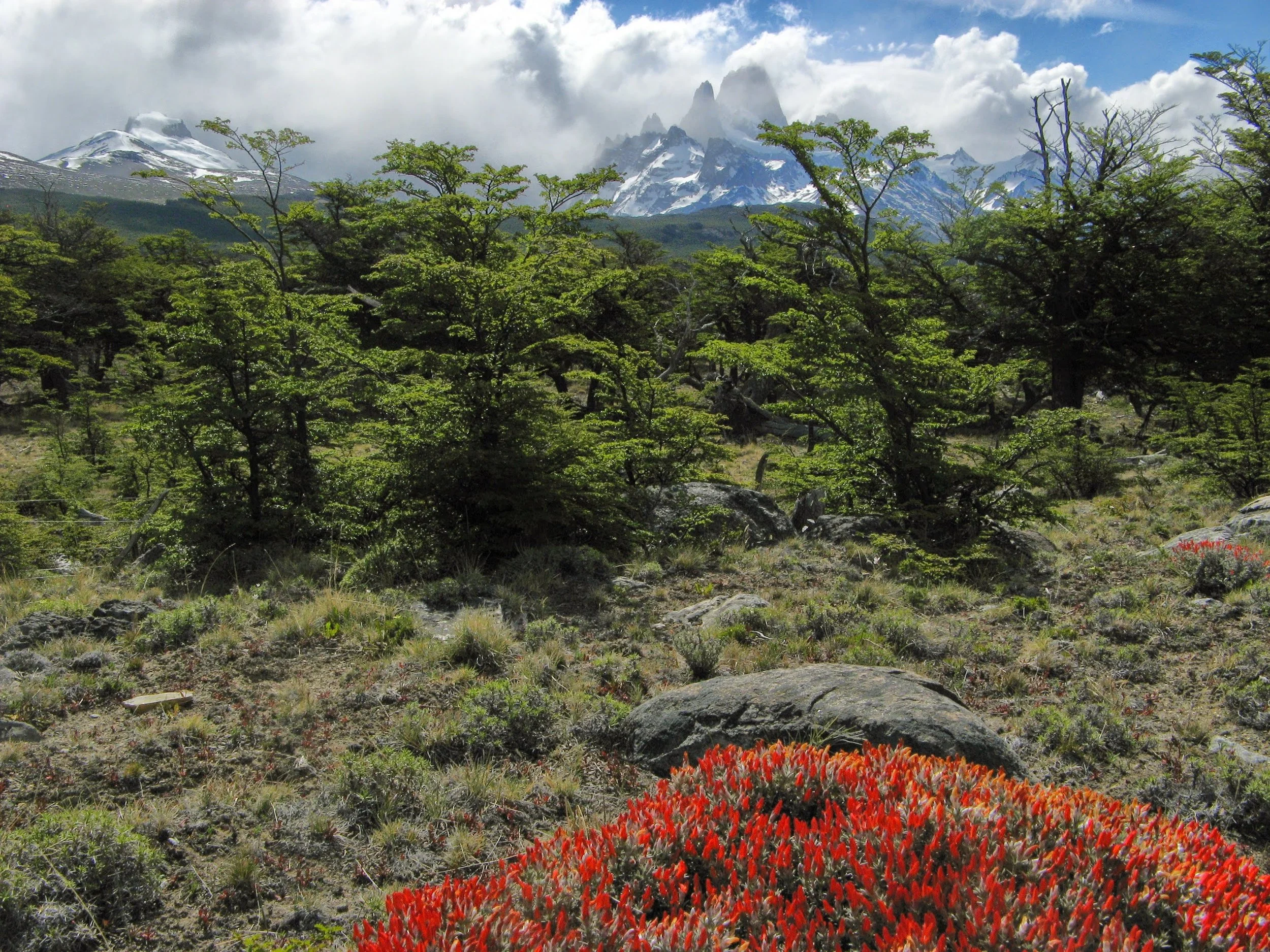 El Chalten 157.jpg