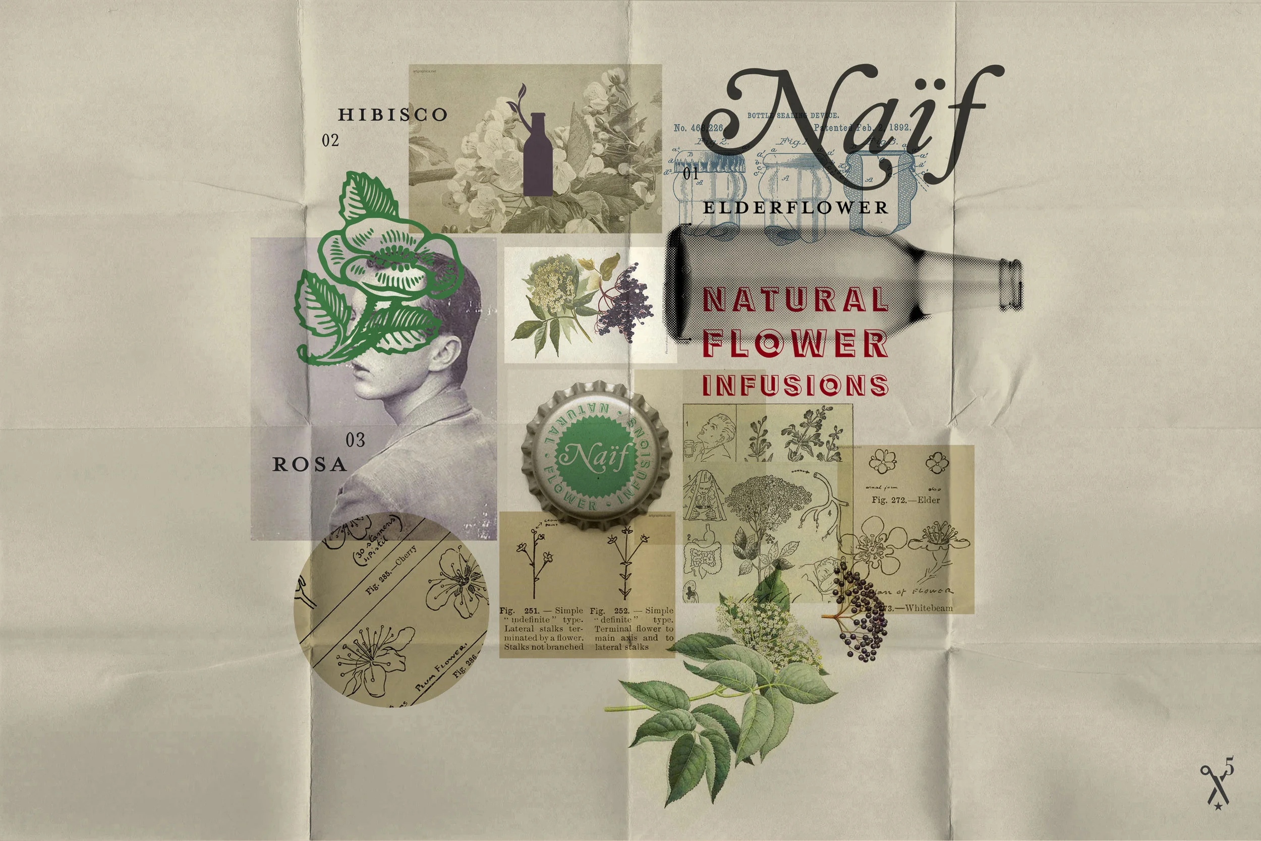 naïf / identity / packaging