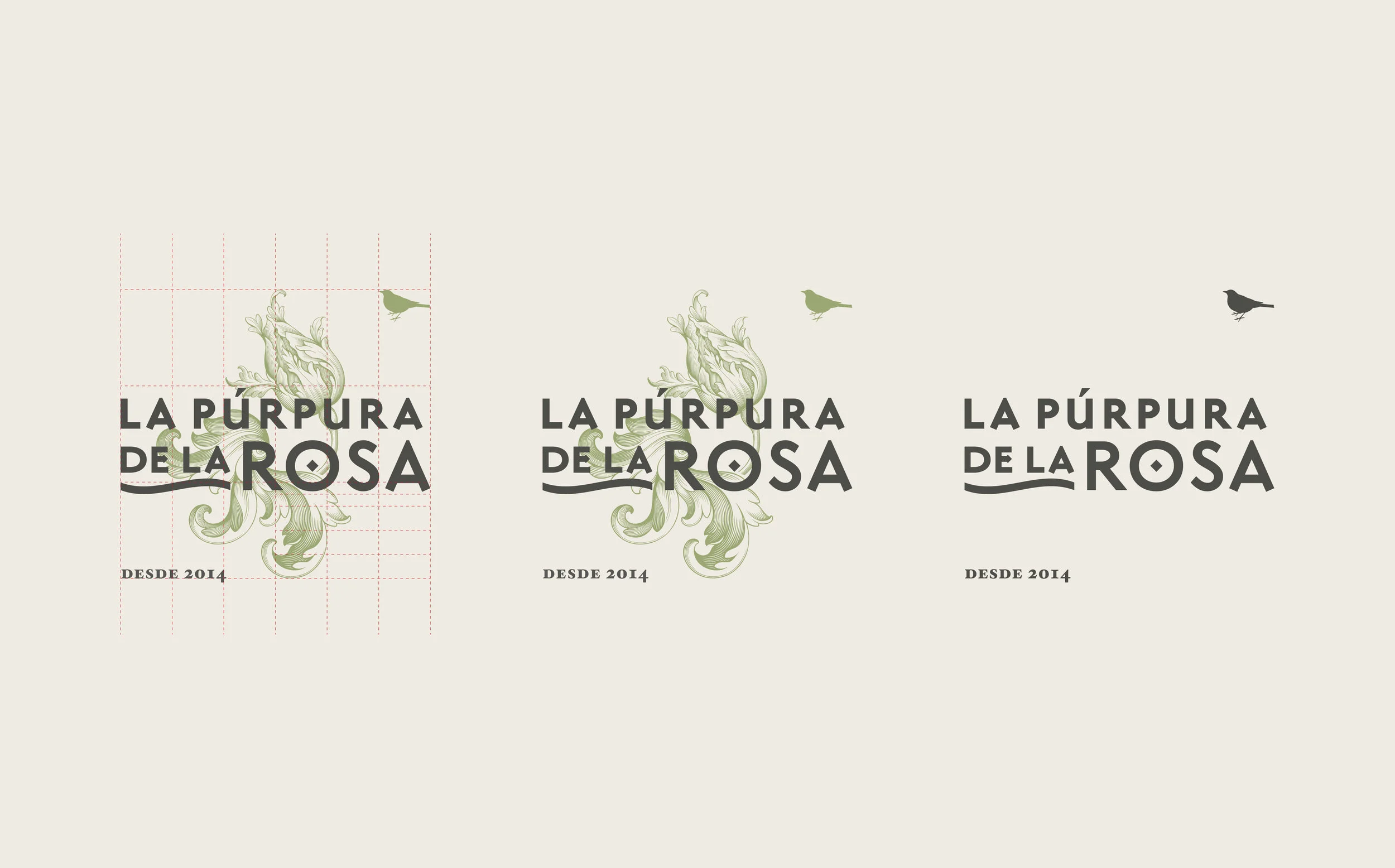 la purpura de la rosa / identidad