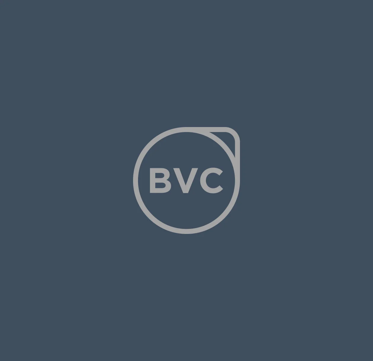 Buenavista Capital / Identity