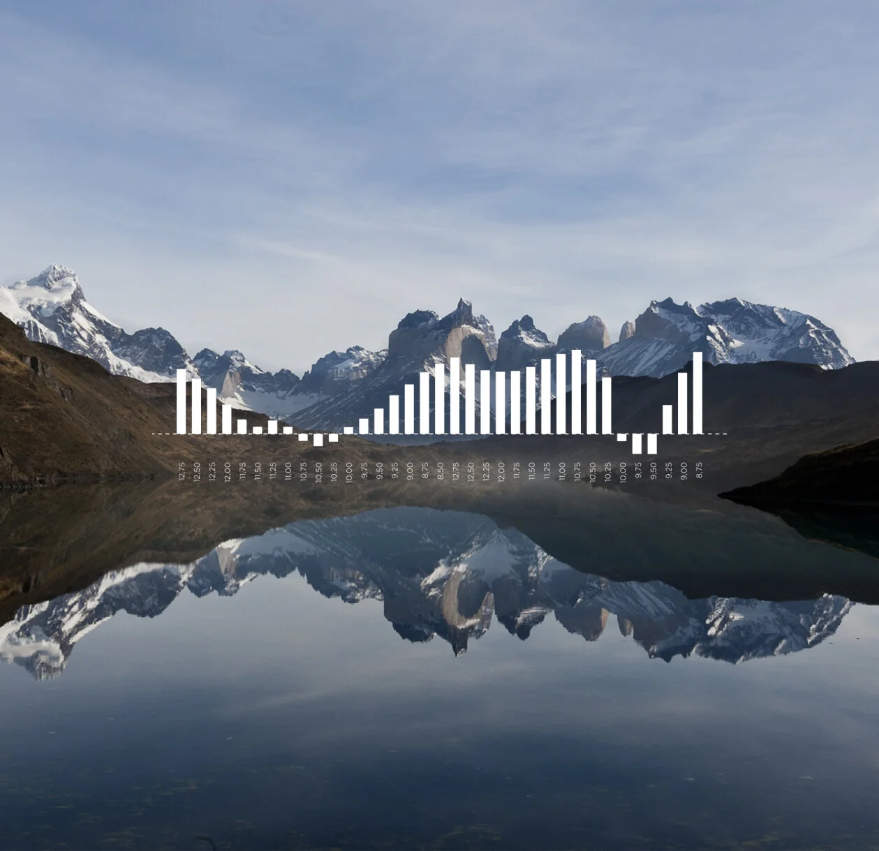 Buenavista Capital / Identity