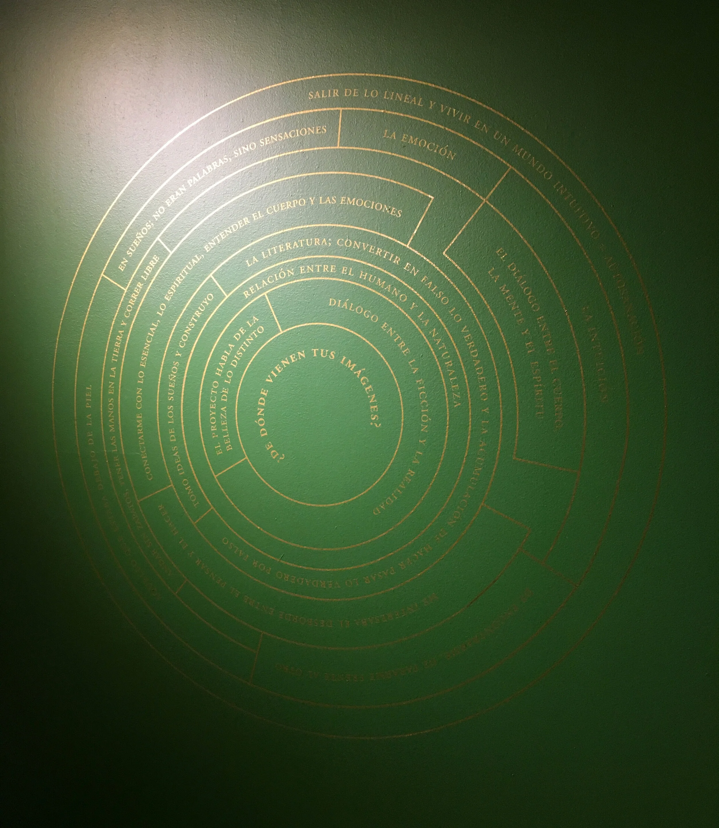 Cecilia Avendaño / Enfermedades Preciosas / CCU / Isabel Croxatto Galeria / Environmental Graphics