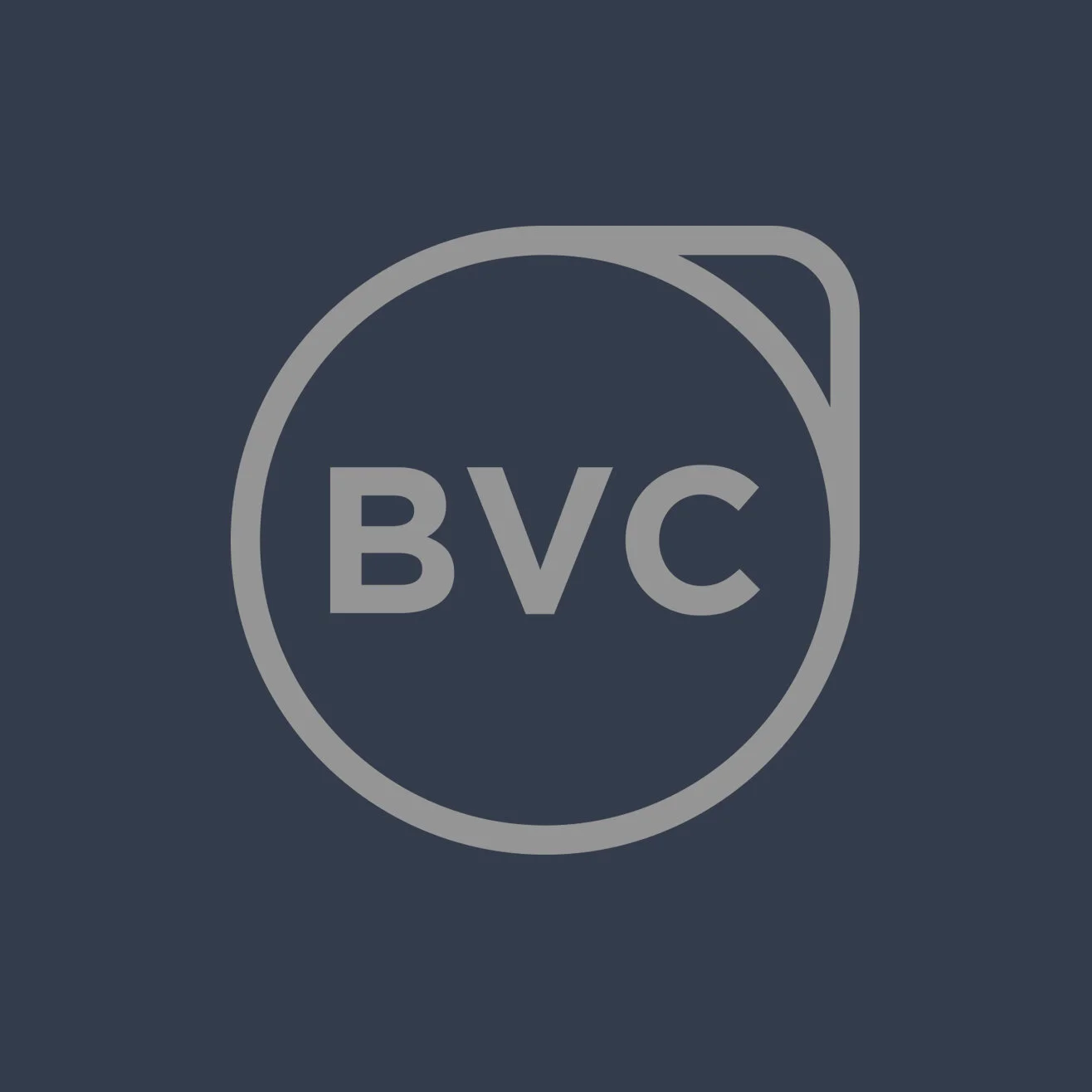 buenavista capital.jpg