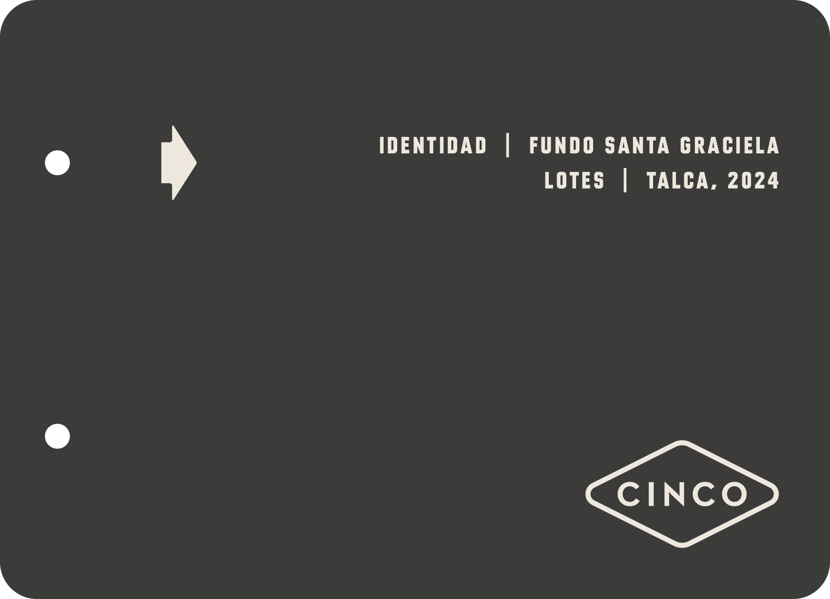 ficha fundo.png