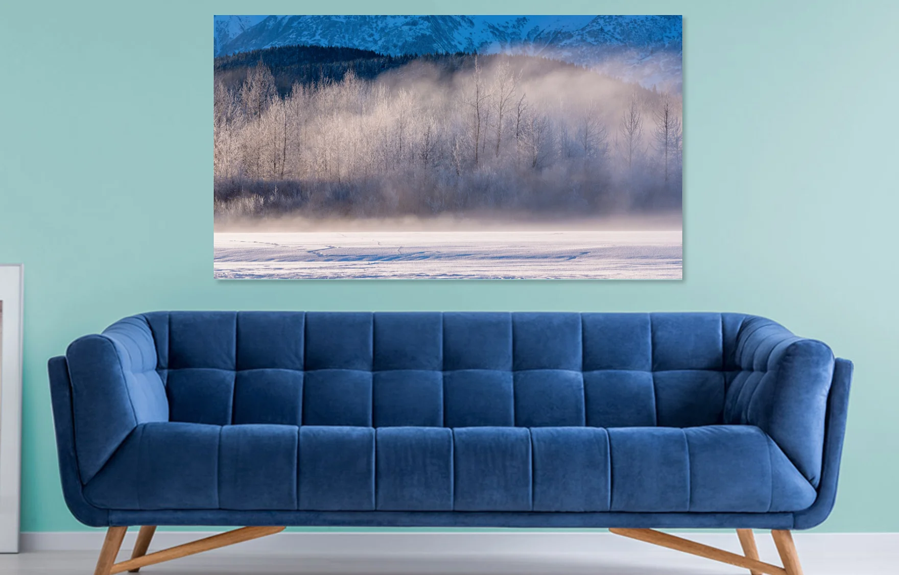 Winter Forest 