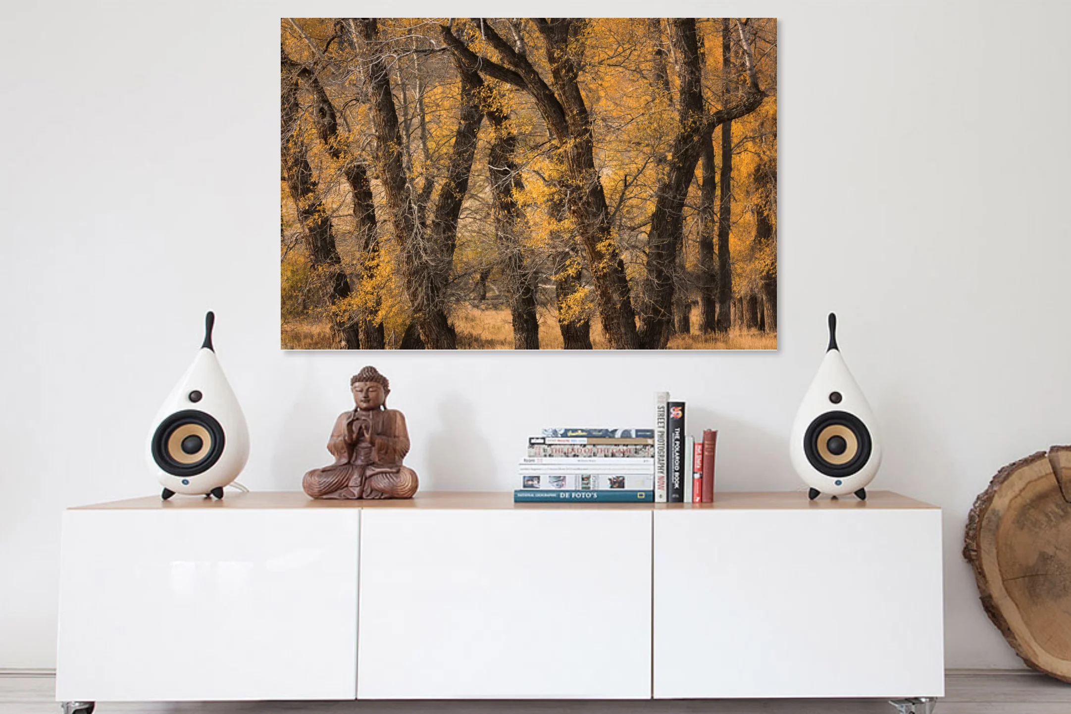 Screen Shot 2018-02-23 at 11.40.29 AM.jpg