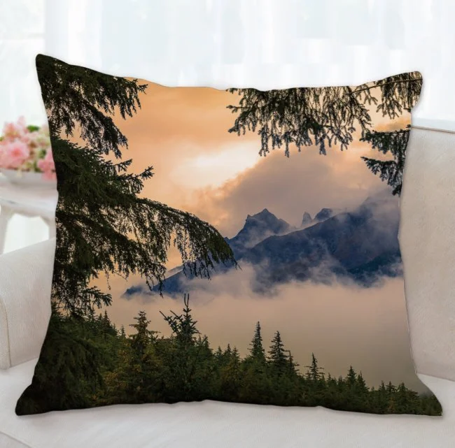 Throw Pillow 
