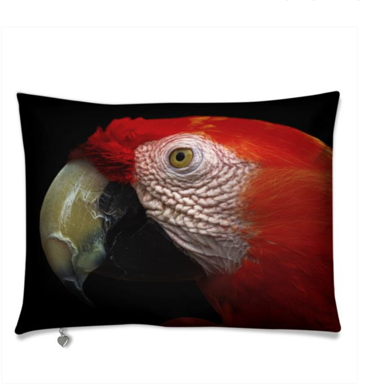 Extinction is Forever 