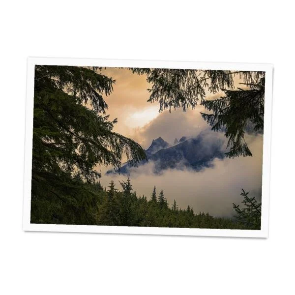 Home of the Grizzly Bear Poster