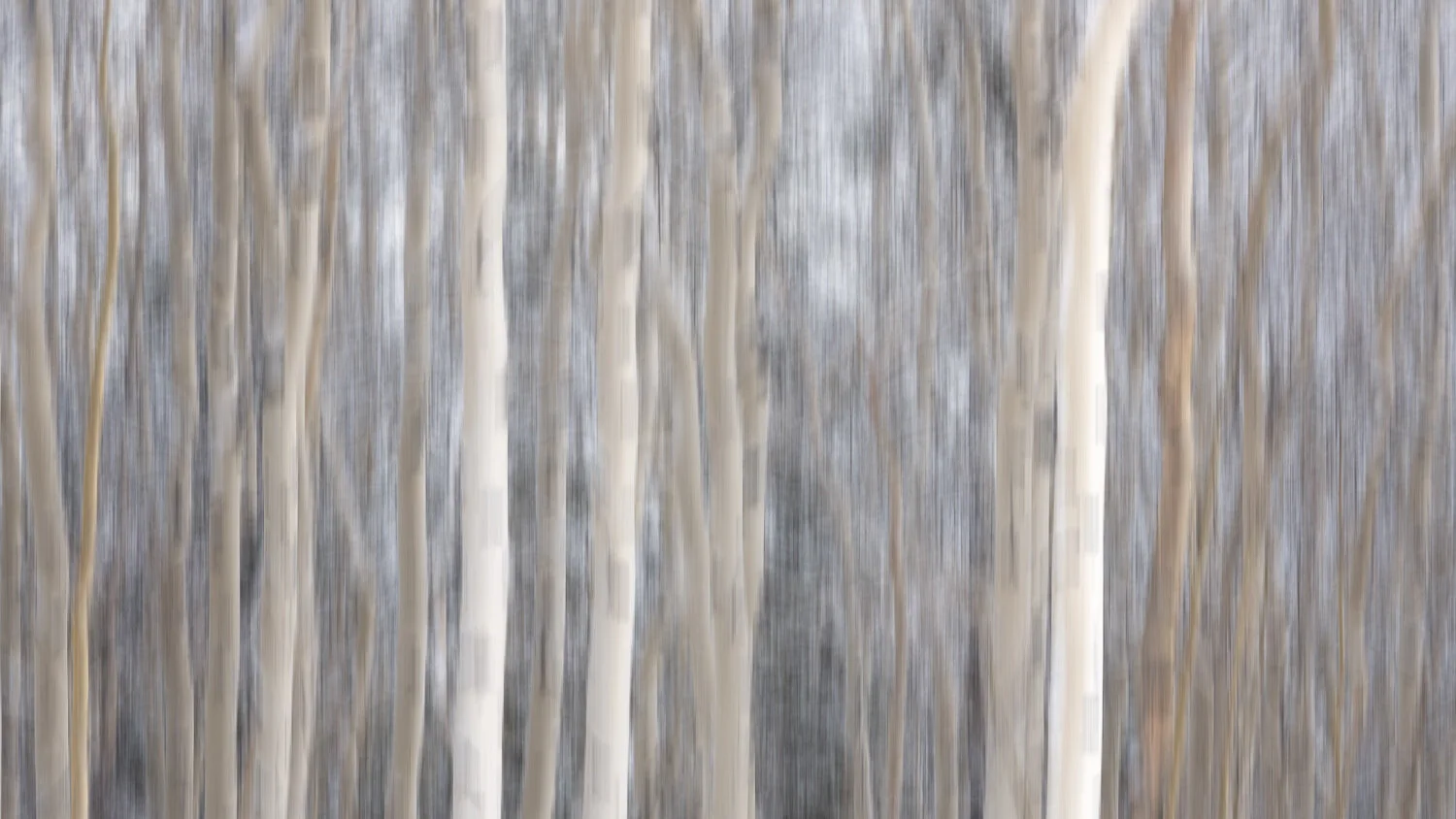The Art of Landscape Panning