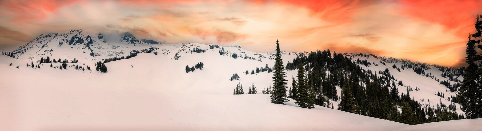 Final Version _1.JPG