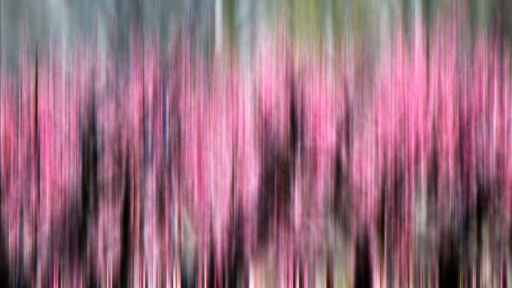 Final Version _3.JPG