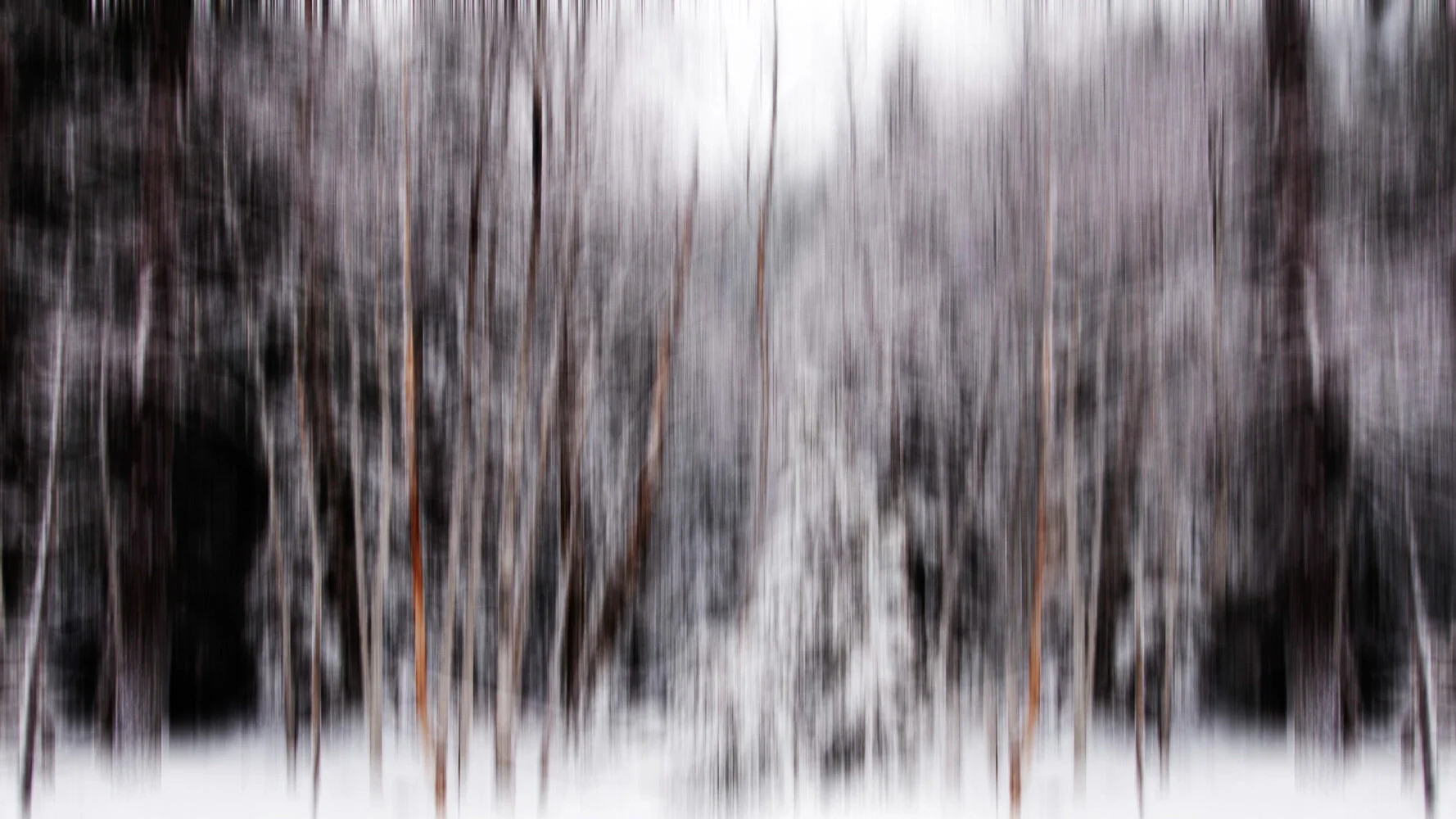 Final Version _4.JPG