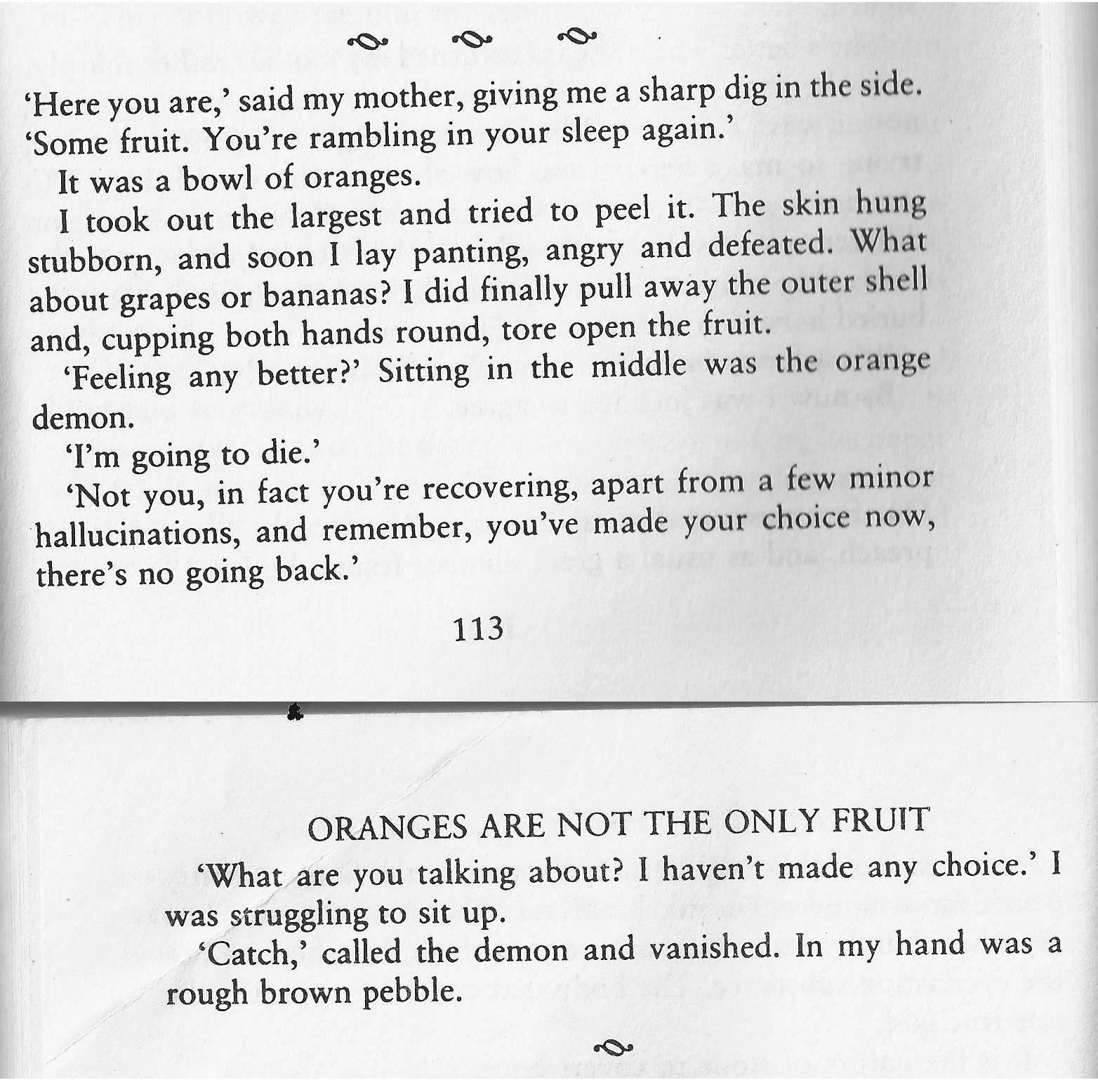 Excerpt from Oranges Are Not The Only Fruit